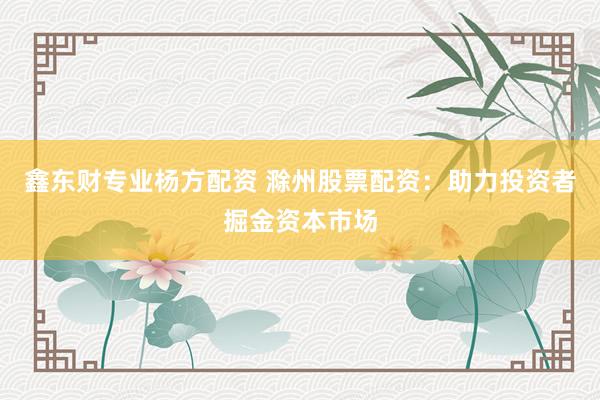 鑫东财专业杨方配资 滁州股票配资：助力投资者掘金资本市场
