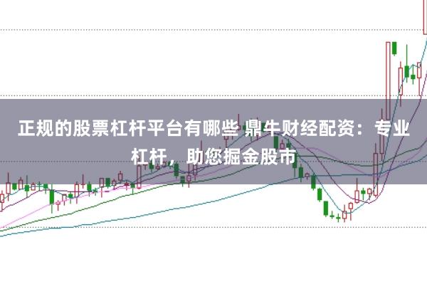 正规的股票杠杆平台有哪些 鼎牛财经配资：专业杠杆，助您掘金股市