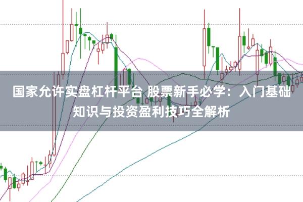 国家允许实盘杠杆平台 股票新手必学:入门基础知识与投资盈利技巧全解析