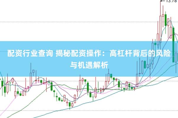 配资行业查询 揭秘配资操作：高杠杆背后的风险与机遇解析