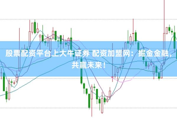 股票配资平台上大牛证券 配资加盟网：掘金金融，共赢未来！