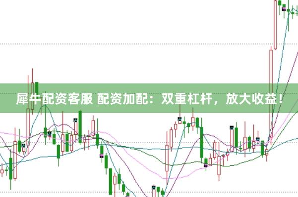 犀牛配资客服 配资加配：双重杠杆，放大收益！