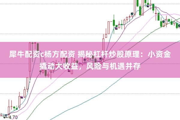 犀牛配资c杨方配资 揭秘杠杆炒股原理：小资金撬动大收益，风险与机遇并存