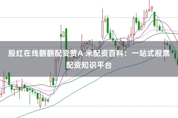 股红在线翻翻配资赞A 米配资百科：一站式股票配资知识平台