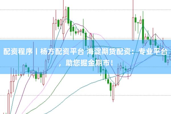 配资程序丨杨方配资平台 海淀期货配资：专业平台，助您掘金期市！