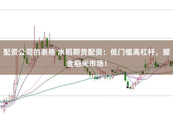 配资公司的表格 水稻期货配资：低门槛高杠杆，掘金稻米市场！