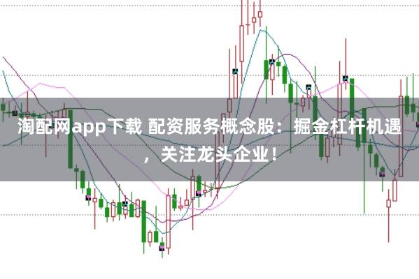 淘配网app下载 配资服务概念股：掘金杠杆机遇，关注龙头企业！