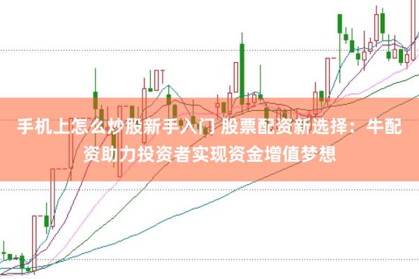 手机上怎么炒股新手入门 股票配资新选择：牛配资助力投资者实现资金增值梦想