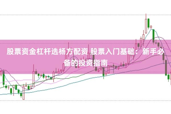 股票资金杠杆选杨方配资 股票入门基础：新手必备的投资指南