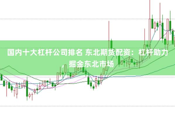 国内十大杠杆公司排名 东北期货配资：杠杆助力，掘金东北市场