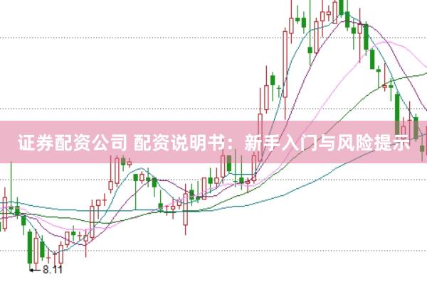 证券配资公司 配资说明书：新手入门与风险提示