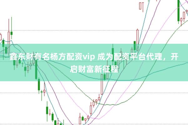 鑫东财有名杨方配资vip 成为配资平台代理，开启财富新征程