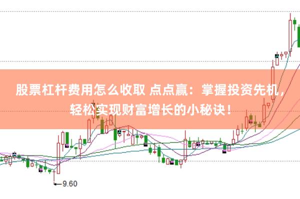 股票杠杆费用怎么收取 点点赢：掌握投资先机，轻松实现财富增长的小秘诀！