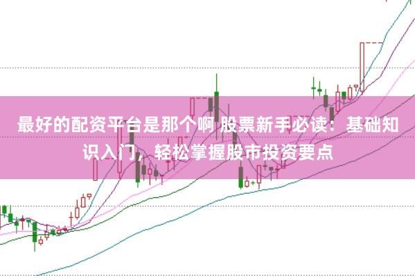 最好的配资平台是那个啊 股票新手必读：基础知识入门，轻松掌握股市投资要点