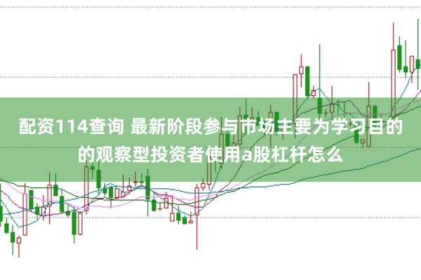 配资114查询 最新阶段参与市场主要为学习目的的观察型投资者使用a股杠杆怎么