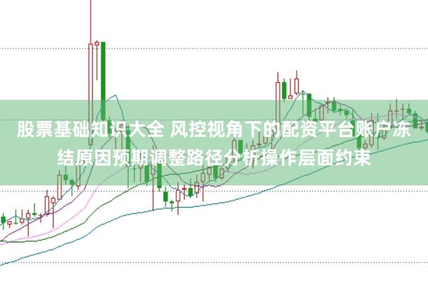 股票基础知识大全 风控视角下的配资平台账户冻结原因预期调整路径分析操作层面约束