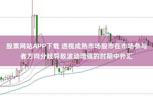 股票网站APP下载 透视成熟市场股市在市场参与者方向分歧导致波动增强的时期中外汇