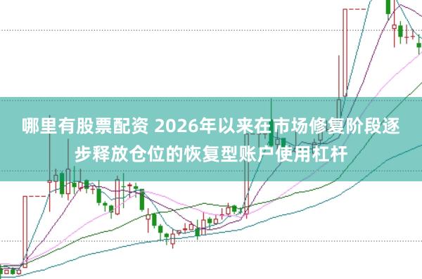 哪里有股票配资 2026年以来在市场修复阶段逐步释放仓位的恢复型账户使用杠杆