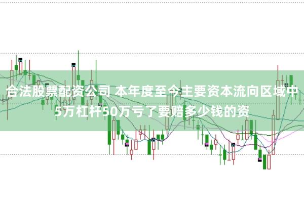 合法股票配资公司 本年度至今主要资本流向区域中5万杠杆50万亏了要赔多少钱的资