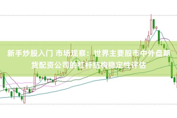 新手炒股入门 市场观察：世界主要股市中外盘期货配资公司的杠杆结构稳定性评估