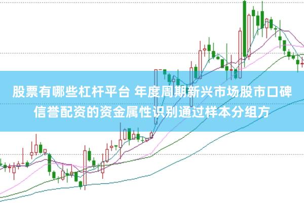 股票有哪些杠杆平台 年度周期新兴市场股市口碑信誉配资的资金属性识别通过样本分组方