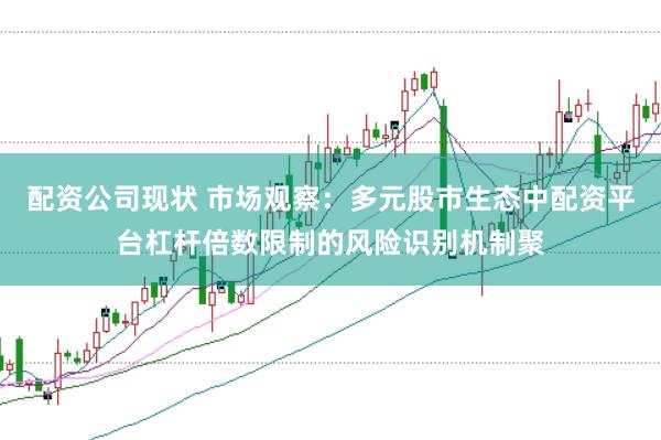 配资公司现状 市场观察：多元股市生态中配资平台杠杆倍数限制的风险识别机制聚