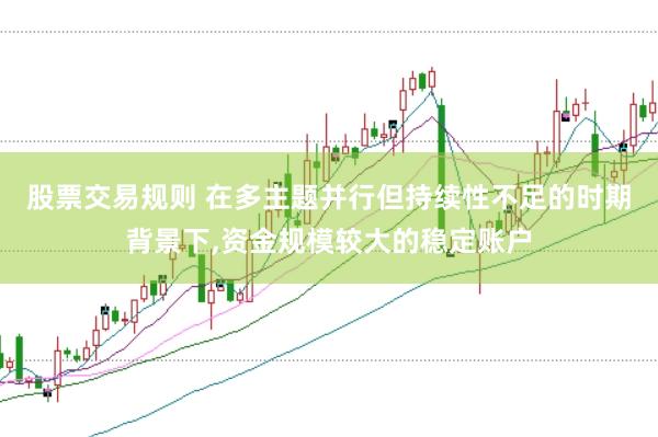 股票交易规则 在多主题并行但持续性不足的时期背景下，资金规模较大的稳定账户