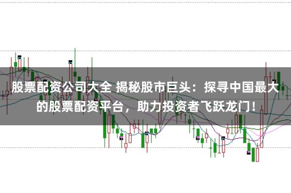 股票配资公司大全 揭秘股市巨头：探寻中国最大的股票配资平台，助力投资者飞跃龙门！
