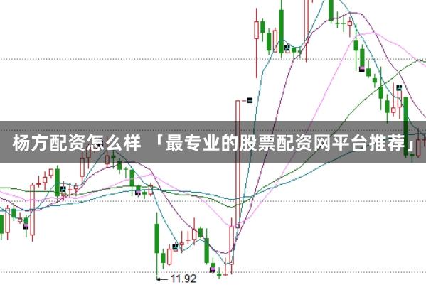 杨方配资怎么样 「最专业的股票配资网平台推荐」