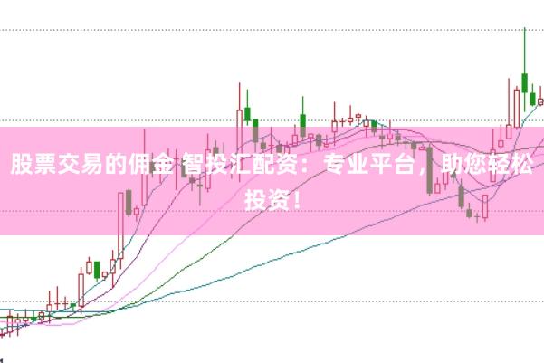 股票交易的佣金 智投汇配资：专业平台，助您轻松投资！