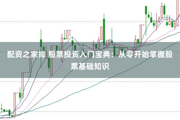 配资之家排 股票投资入门宝典：从零开始掌握股票基础知识