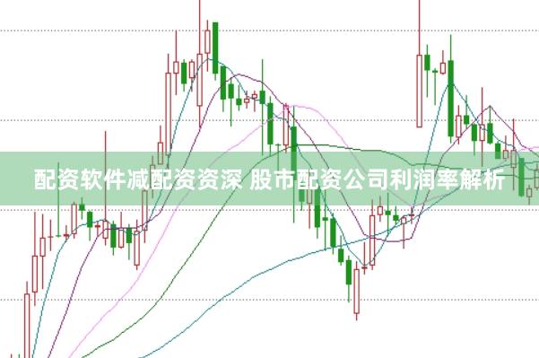 配资软件减配资资深 股市配资公司利润率解析